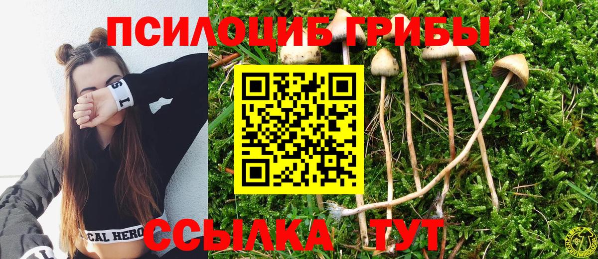 Галлюциногенные грибы мицелий  Вход с VPN  Черкесск 